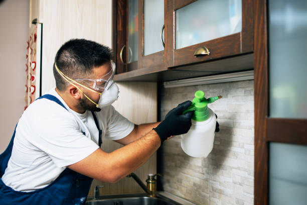 Reliable Normandy Park, WA Pest Control Solutions