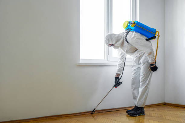 Best Rat Extermination Near Me  in Normandy Park, WA