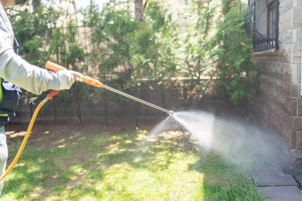 Best Wasp Removal Services  in Normandy Park, WA