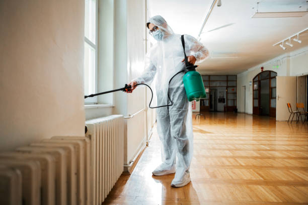 Best Ant Control Services  in Normandy Park, WA