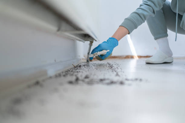 Best Mosquito Control Services  in Normandy Park, WA